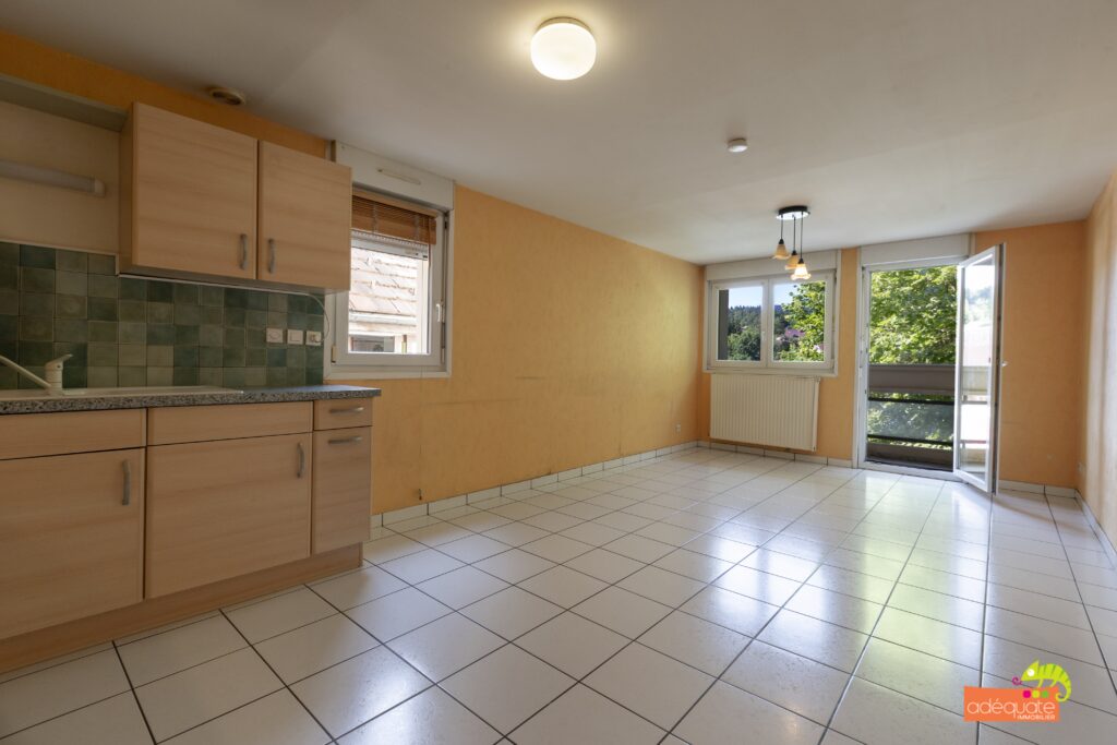 LES HOPITAUX-NEUFS-  169000€